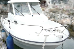 vente antares 620 d'occasion saint-Cyprien