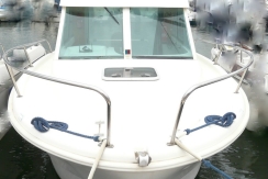 vente antares 650 st-cyprien