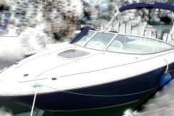 vente sea ray 220 sun sport d'occasion
