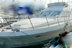 Vente birchwood ts 34 fly d'occasion st-cyprien