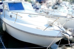 achat vente antares 800 sur st-cyprien