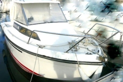esteou 480 d'occasion st cyprien