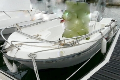 Vente-bateau-moteur-saint-cyprien