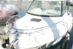 quicksilver 530 flamingo d'occasion