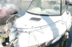 quicksilver 530 flamingo d'occasion