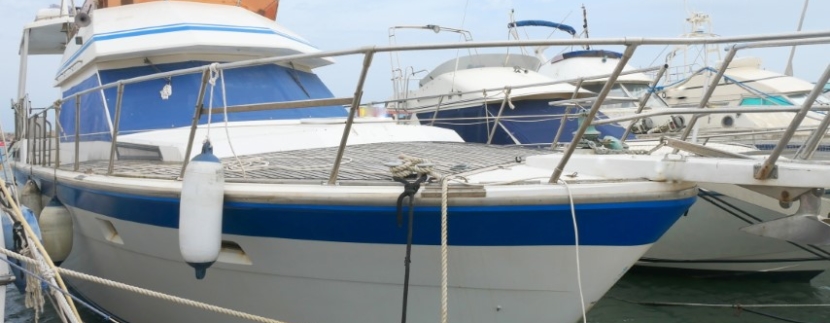 HI STAR 48 d'occasion sur st cyprien