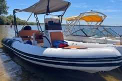 Tiger Marine 550 PROLINE
