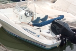 commander 555 quicksilver