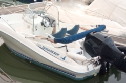 commander 555 quicksilver