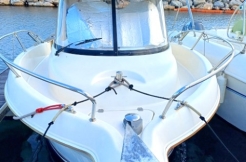 Quicksilver Pilothouse 640 occasion