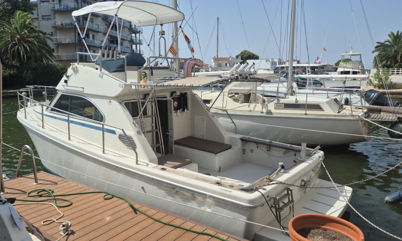 occasion cayman 30 fly