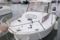 GIB SEA 50 OCCASION