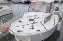 GIB SEA 50 OCCASION